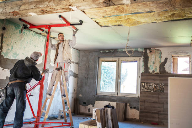 Best Eco-Friendly or Green Insulation Solutions  in Wink, TX